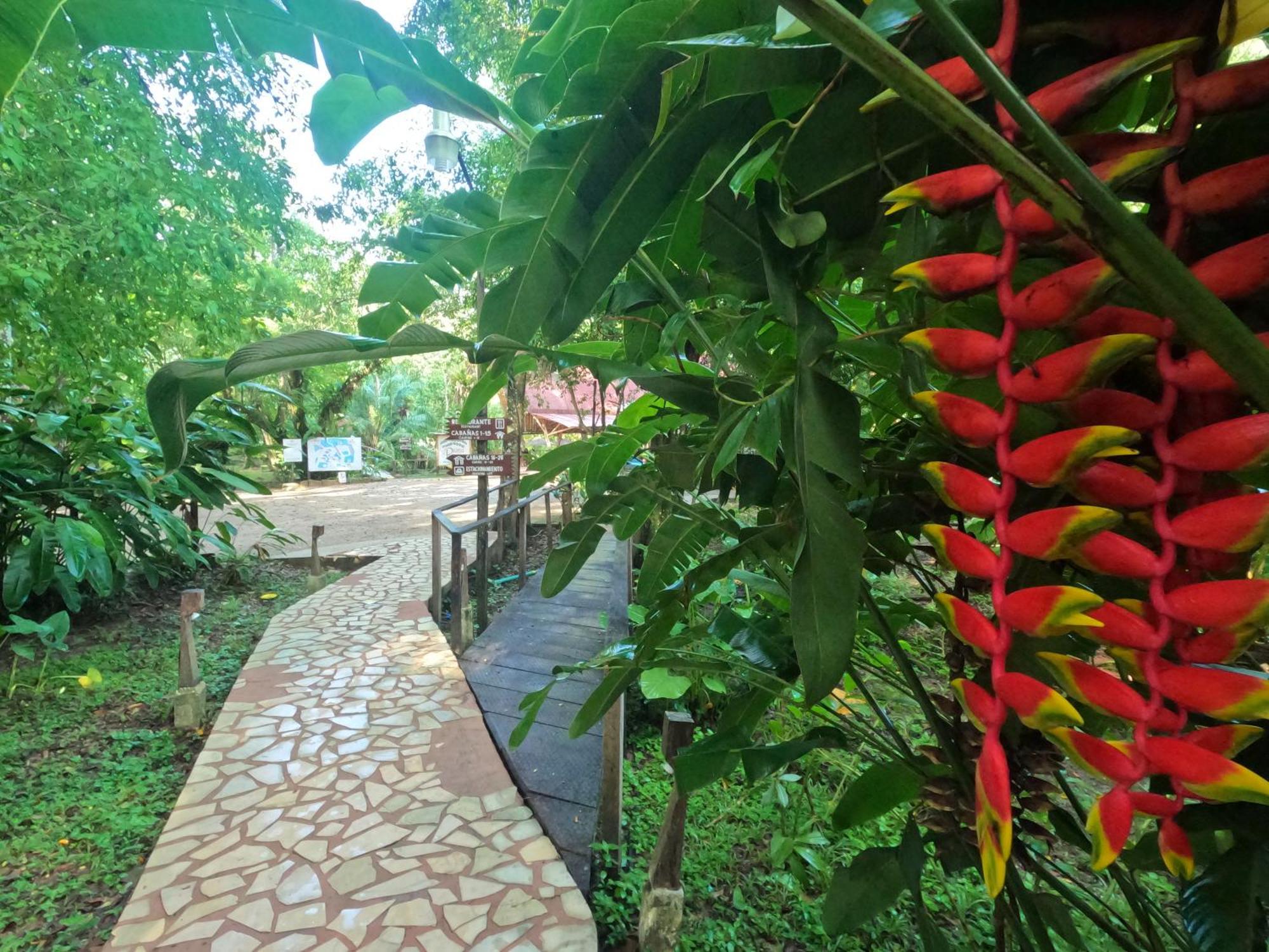 Cabanas Kin Balam Palenque Hotel Esterno foto